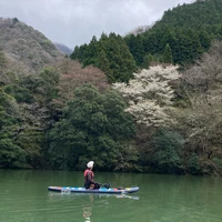画像252