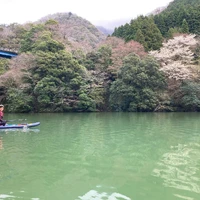 画像253