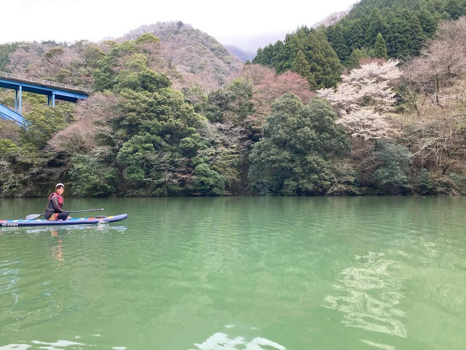 画像253