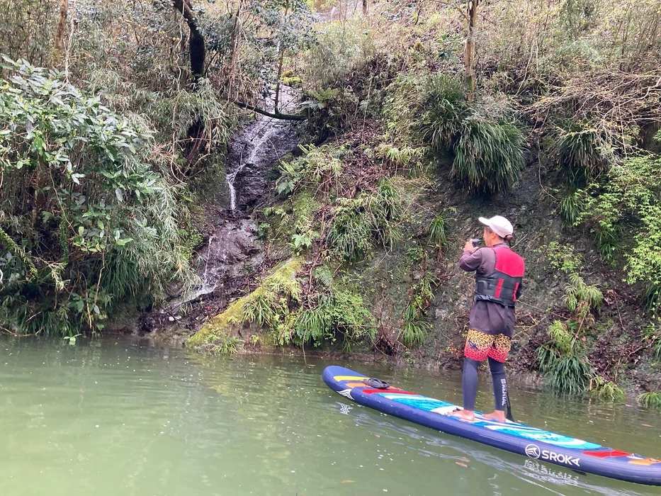 画像255