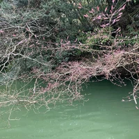 画像258