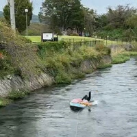 画像356